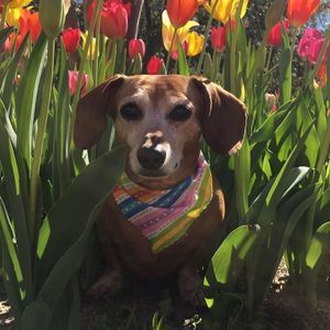 Meet your Posher, Kimberly